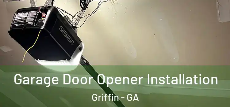  Garage Door Opener Installation Griffin - GA