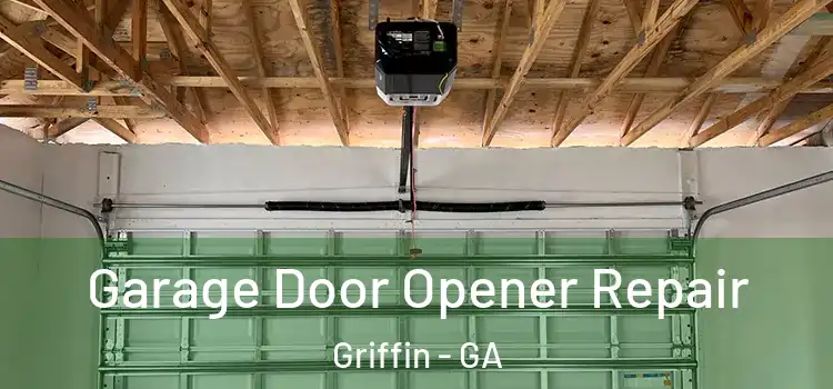  Garage Door Opener Repair Griffin - GA