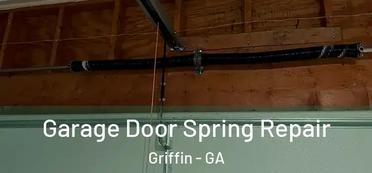  Garage Door Spring Repair Griffin - GA
