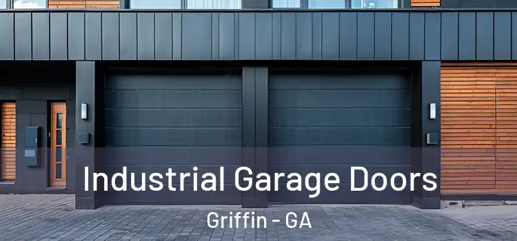  Industrial Garage Doors Griffin - GA