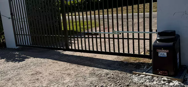 Solar Swing Gate Opener Griffin