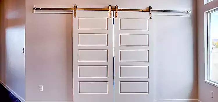 Glass Barn Door with Installation Hardware Kit Griffin
