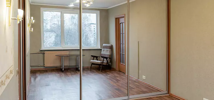 Mirror Closet Door Roller Replacement Griffin