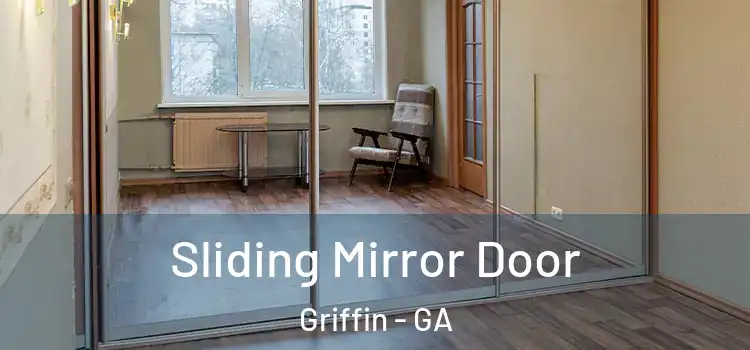  Sliding Mirror Door Griffin - GA
